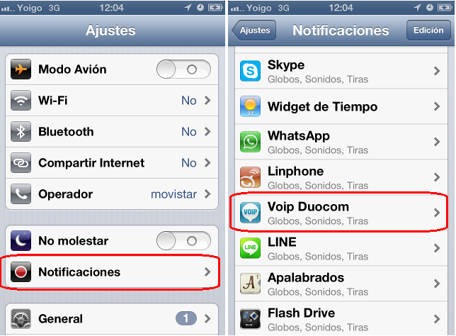 voip iphone